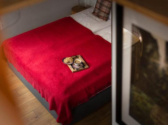 Apartamenty U Harrego I Przy Stawie Spa Z Klimatyzacja, Balia, Sauna, Ogrodem I Parkingiem Kudowa-Zdrój Buitenkant foto